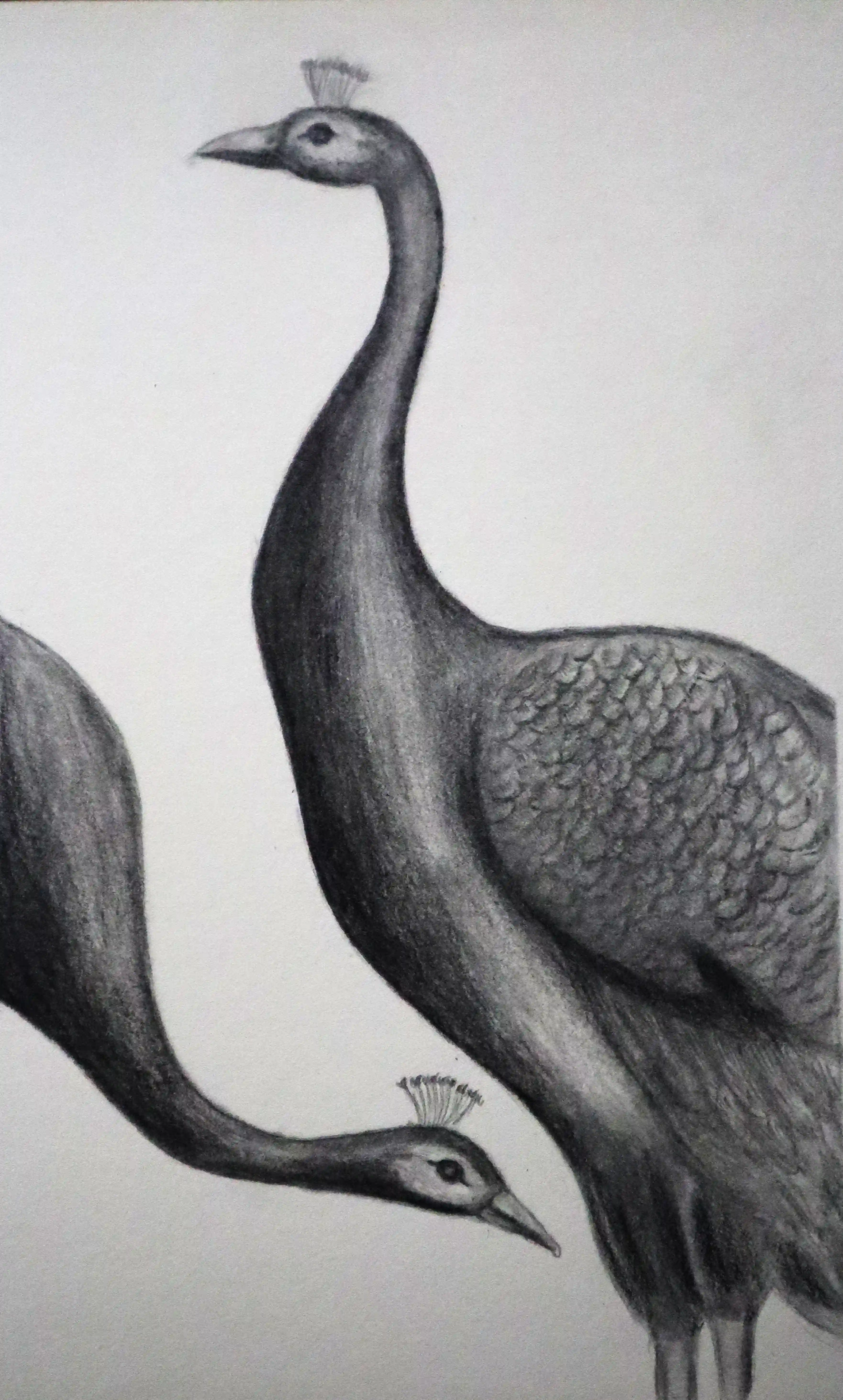 sketch#007